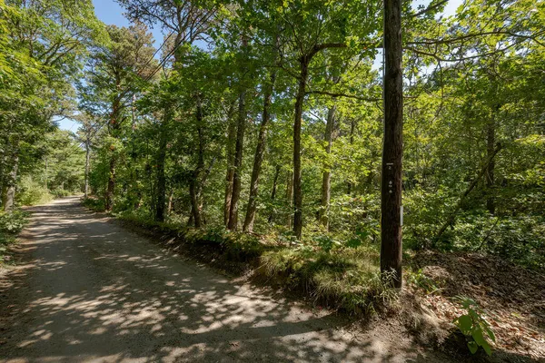 $349,000 | 40 Old Long Pond Road, Wellfleet, MA 02667
