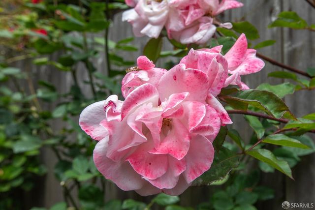 $1,900,000 | 155 Banks Street, San Francisco, CA 94110