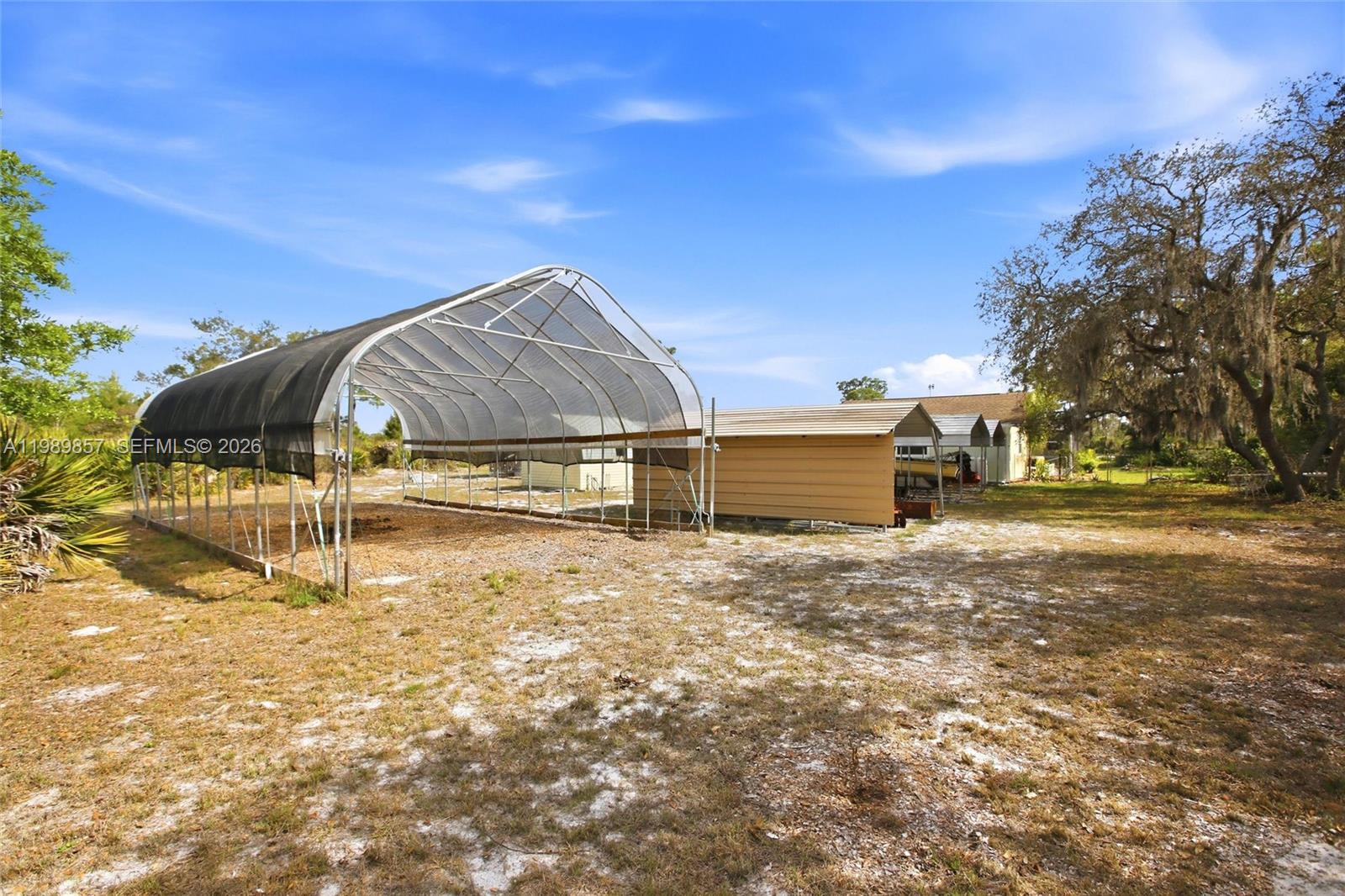 49 Williams Road Lake Placid, FL 33852 - Photo 53 of 61 a backyard of a house with table and chairs