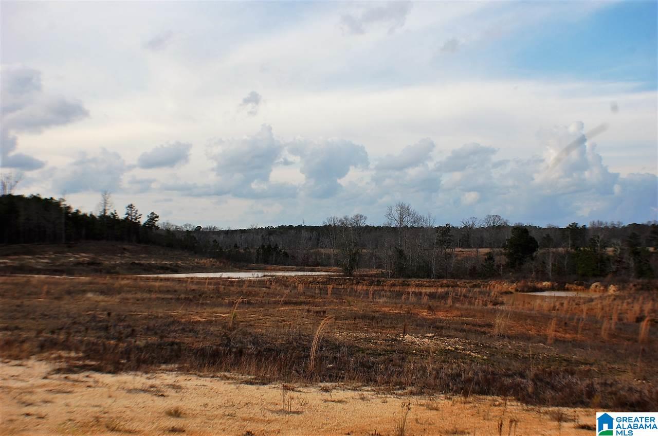 0 County Road 25, Unit 1 Jemison, AL 35085 - Photo 12 of 19