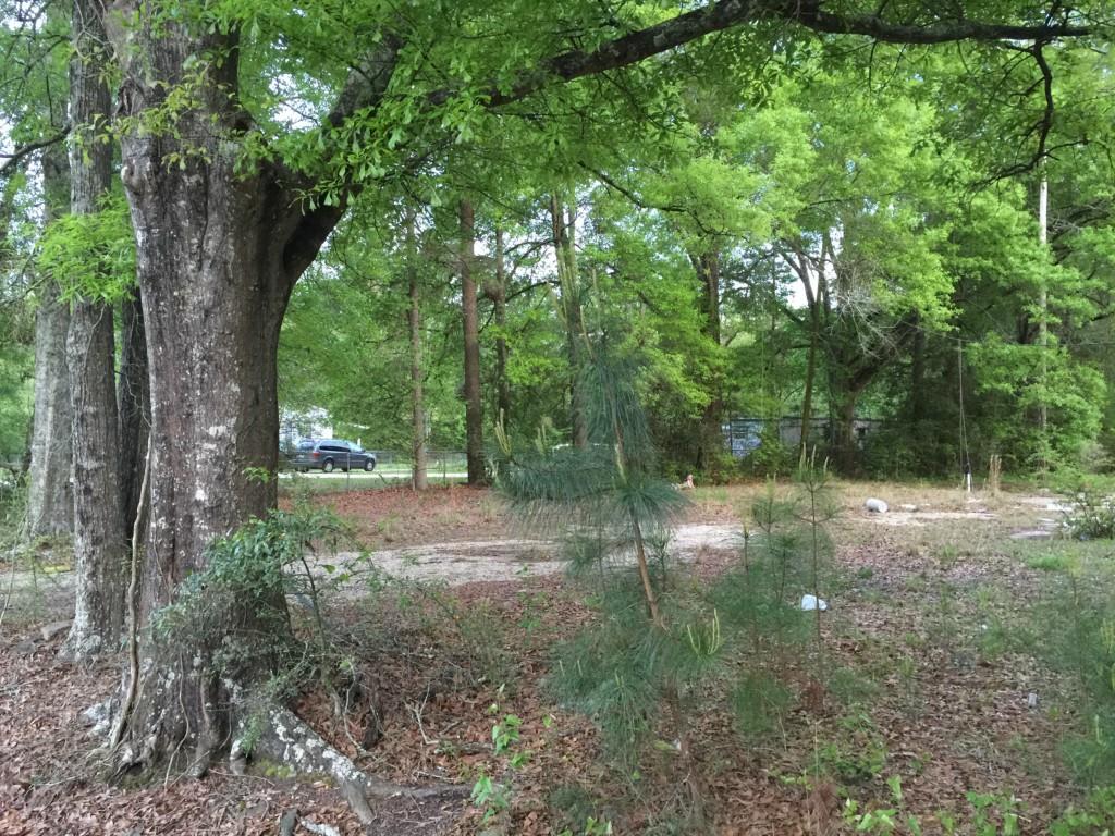 13442 St Road Hammond, LA 70403 - Photo 1 of 3 Gallery Image 1