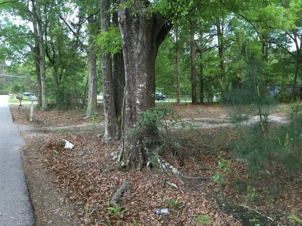 13442 St Road Hammond, LA 70403 - Photo 2 of 3 Gallery Image 2
