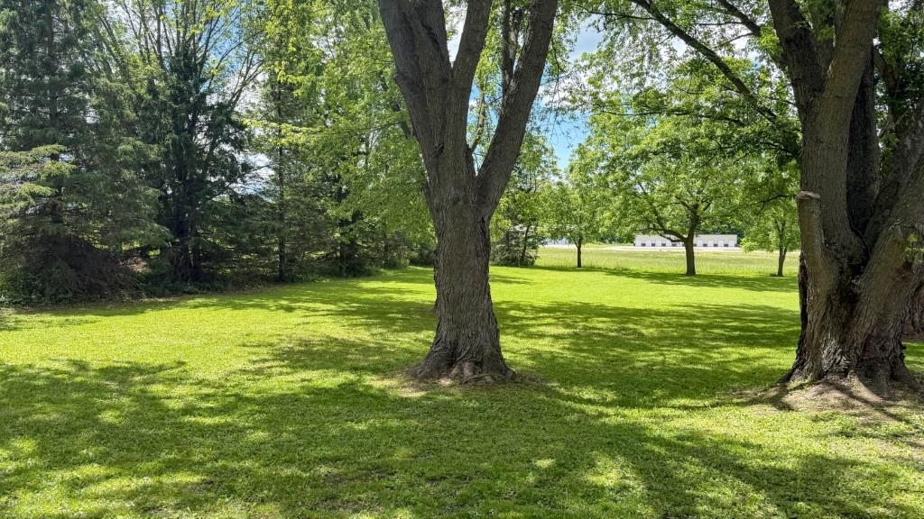 237490 Allen Street Athens, WI 54411 - Photo 5 of 39