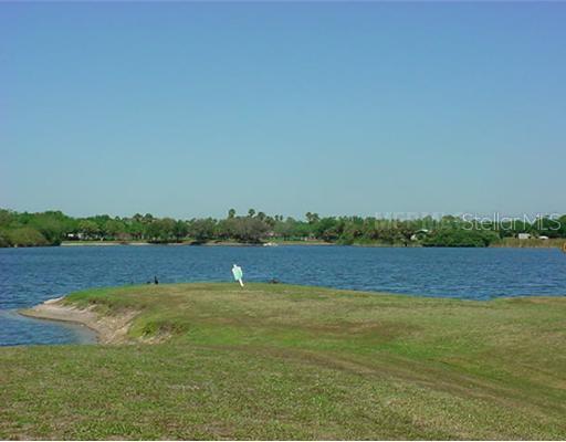 3499 Stockton Road Port Charlotte, FL 33953 - Photo 11 of 12 View - BREATHTAKING LAKE VIEW FROM THE COMMUNITY HEATED POOL!