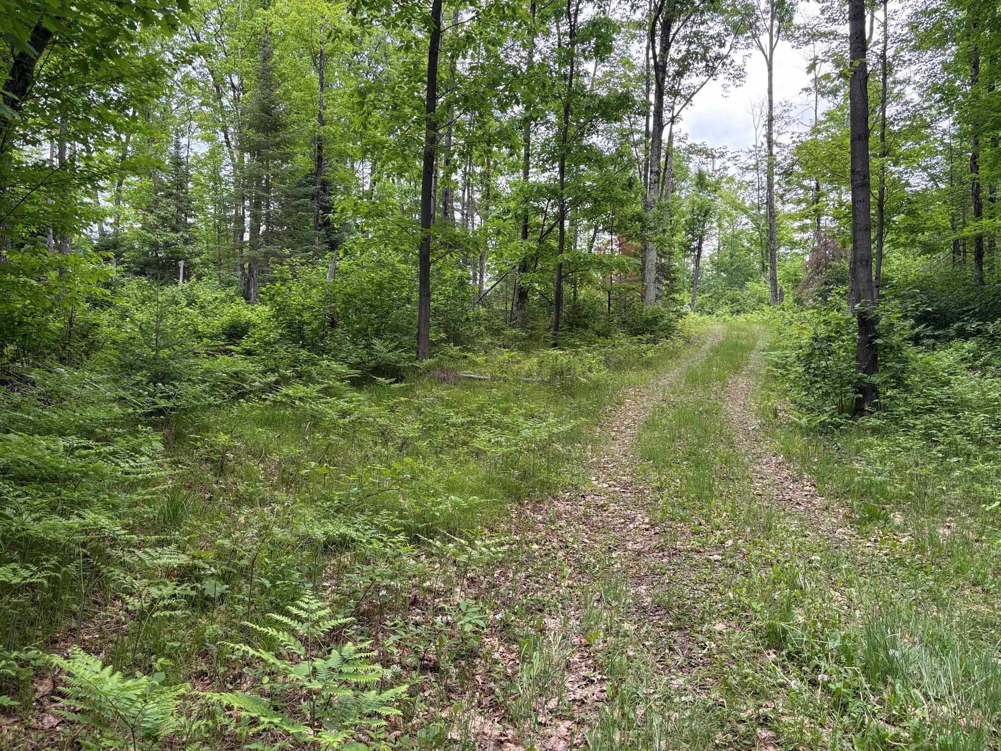 W15816 Fawn Acres Road Fence, WI 54120 - Photo 1 of 14