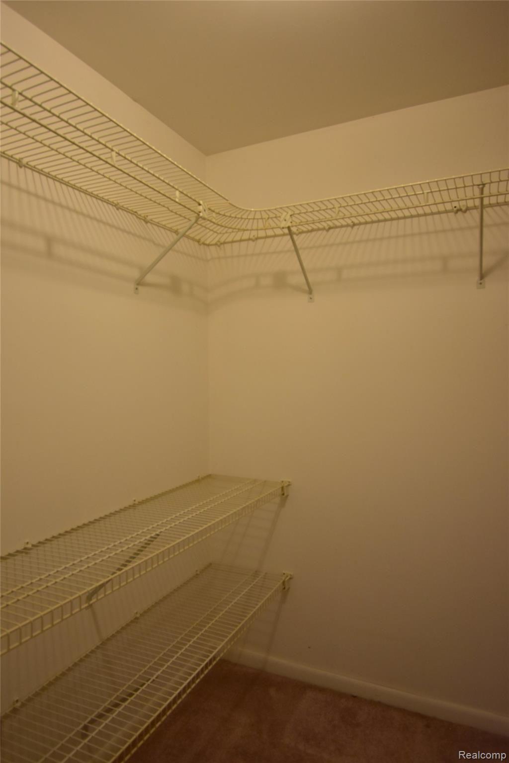 2053 Darwin Road Pinckney, MI 48169 - Photo 16 of 24 14 MASTER WALK IN CLOSET.JPG