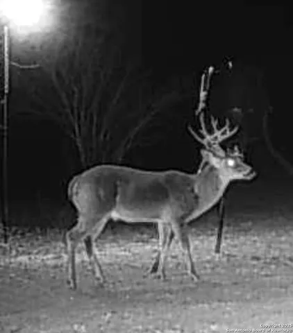 $797,000 | 1185 County Road 7718, Devine, TX 78016