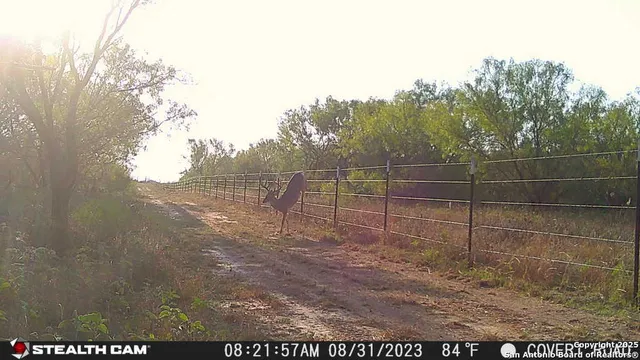 $797,000 | 1185 County Road 7718, Devine, TX 78016