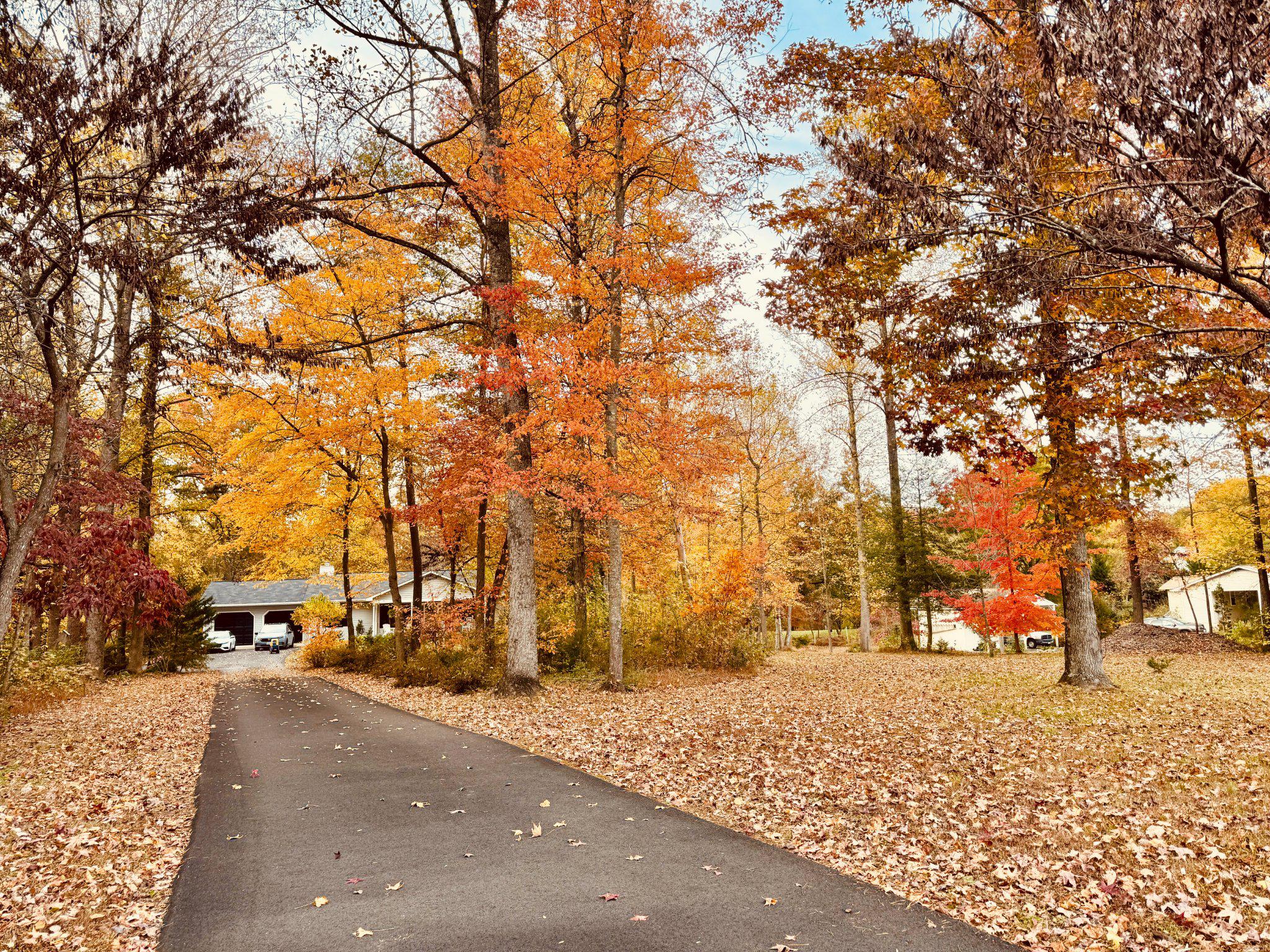 230 Richards Ferry Road Fredericksburg, VA 22406 - Photo 83 of 96 Picturesque Autumn views welcome you home.