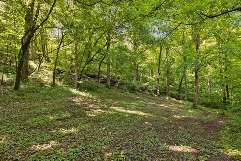 $3,000,000 | 2681 York Road, Nolensville, TN 37135