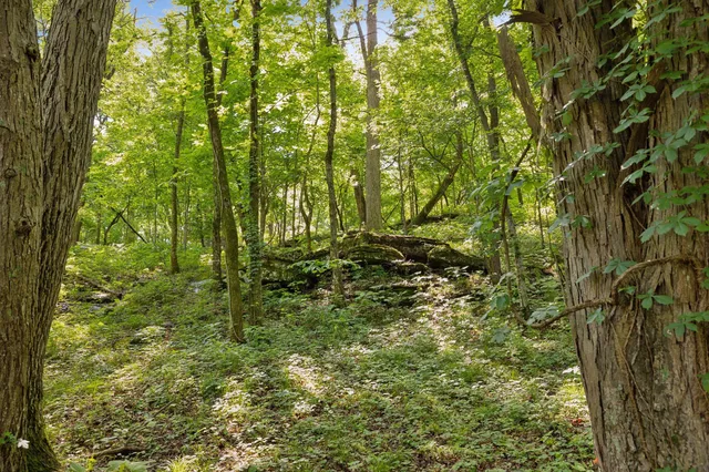 $3,000,000 | 2681 York Road, Nolensville, TN 37135