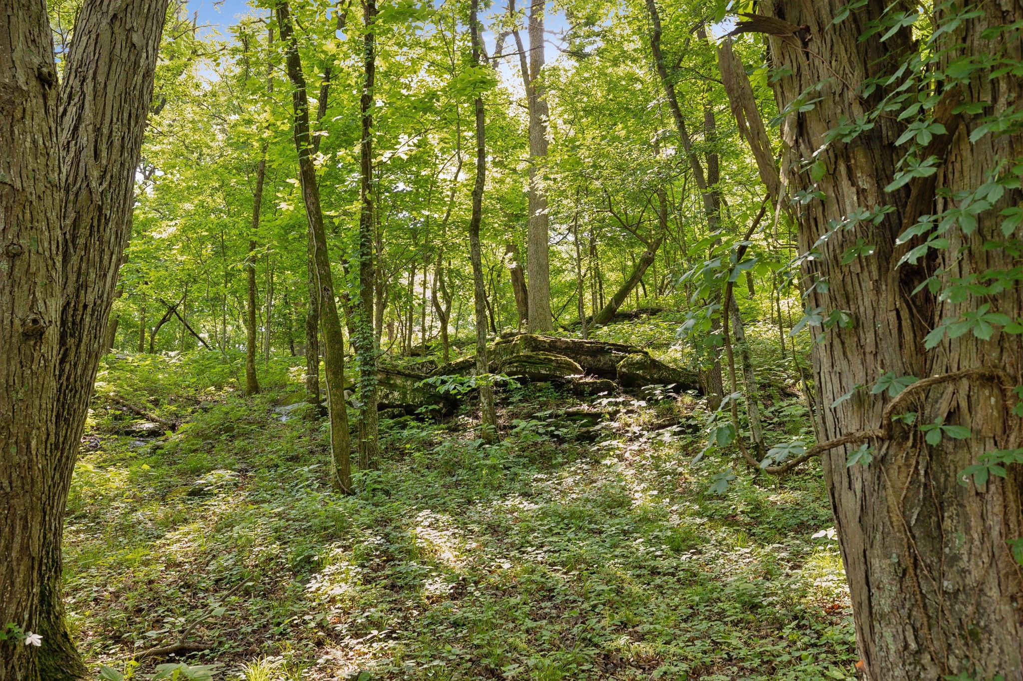 2681 York Road Nolensville, TN 37135 - Photo 25 of 27