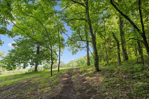 $3,000,000 | 2681 York Road, Nolensville, TN 37135