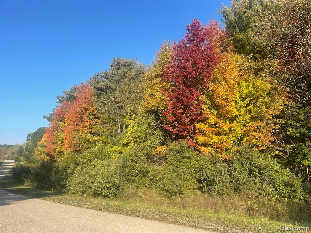 0 Mill Road Dryden, MI 48428 - Photo 16 of 18