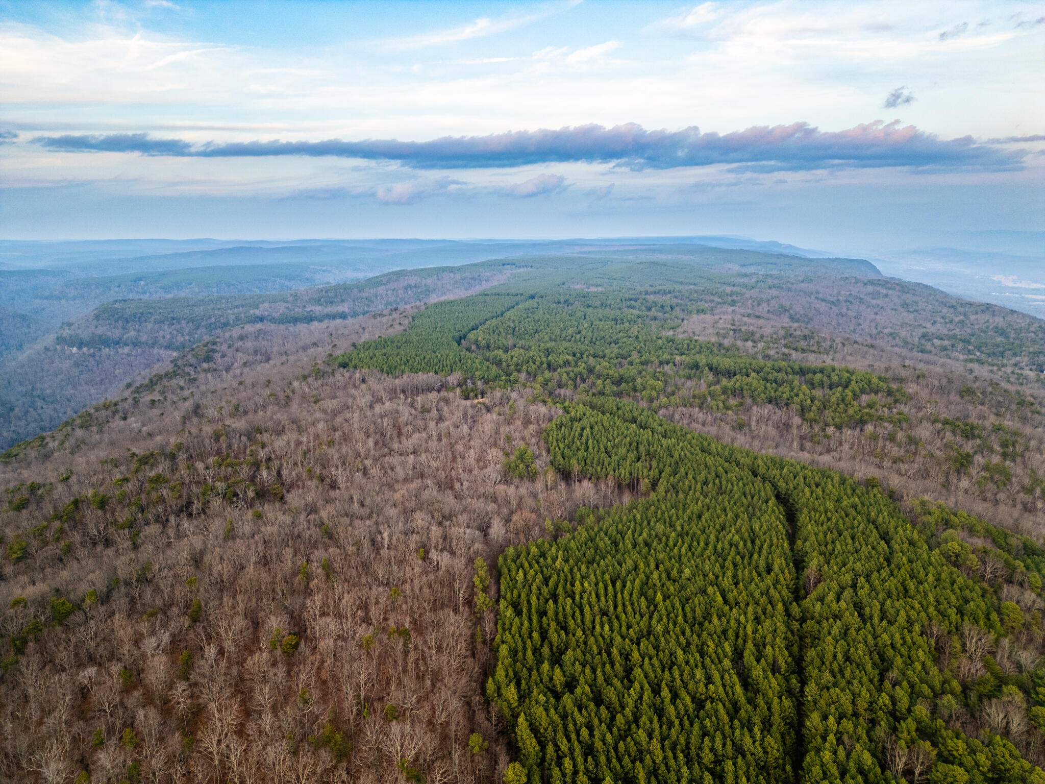 2900300 Smith Mountain Road Dunlap, TN 37327 - Photo 30 of 42 a view of a field with an ocean
