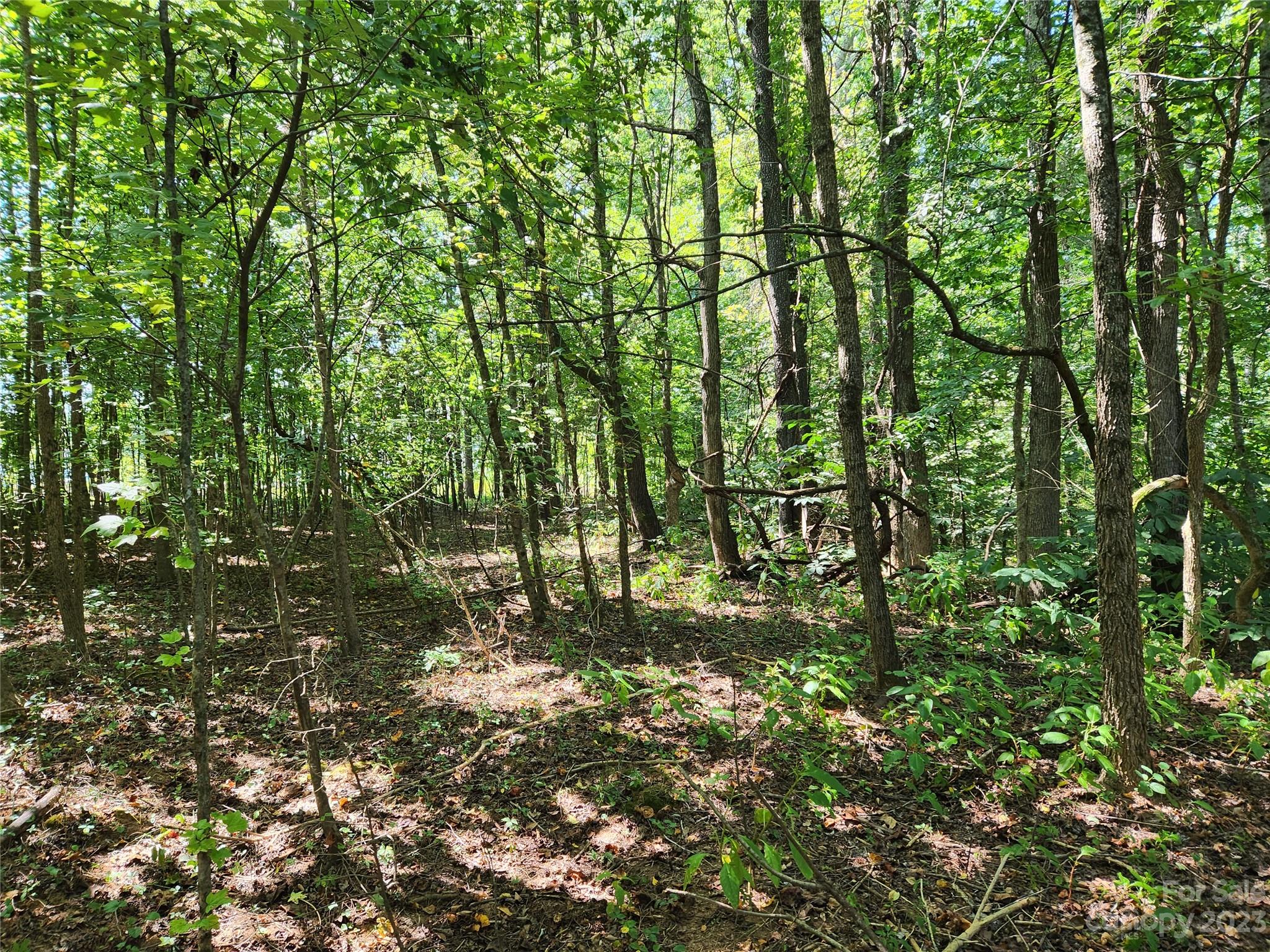 0 Plaza Rd Extension Charlotte, NC 28215 - Photo 11 of 11 Gallery Image 11