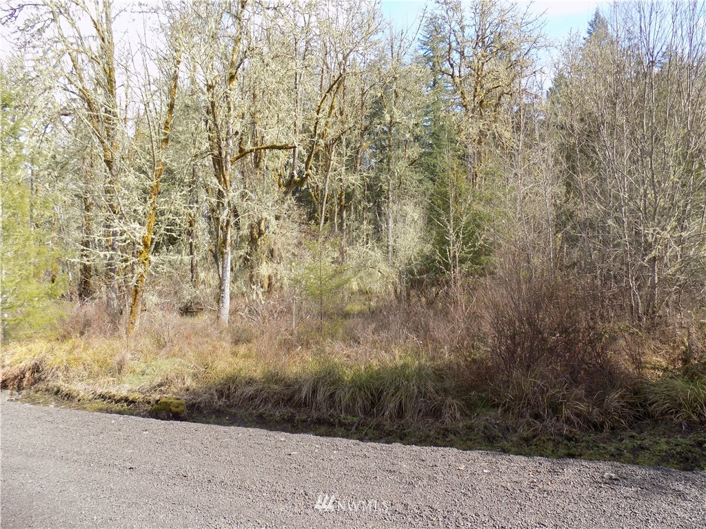 46 Highmoor Road Toutle, WA 98649 - Photo 1 of 18