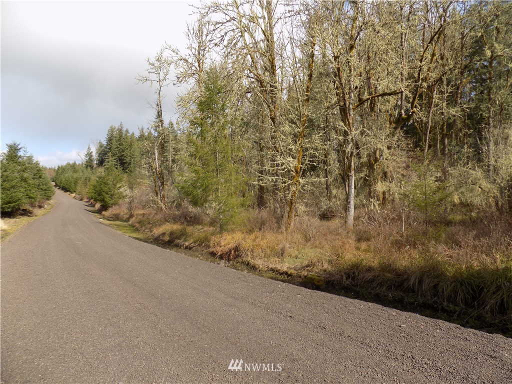46 Highmoor Road Toutle, WA 98649 - Photo 2 of 18