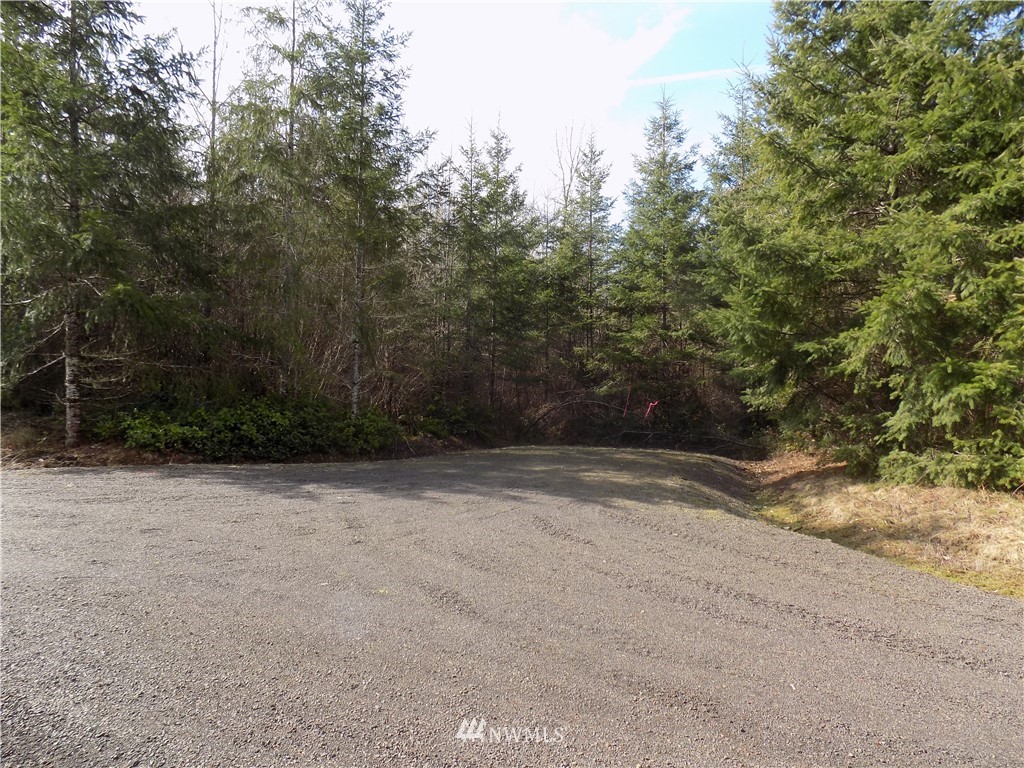 46 Highmoor Road Toutle, WA 98649 - Photo 3 of 18