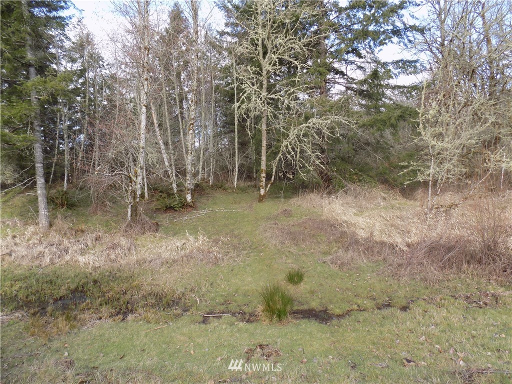 46 Highmoor Road Toutle, WA 98649 - Photo 10 of 18