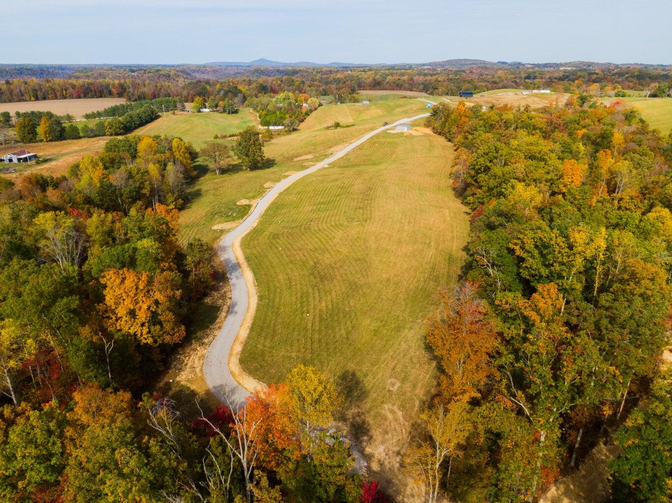 Lot 31 Spring Branch Hollow Road Nancy, KY 42544 - Photo 4 of 5 Lot 31-4