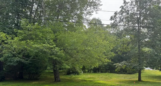 a view of outdoor space with green field and trees