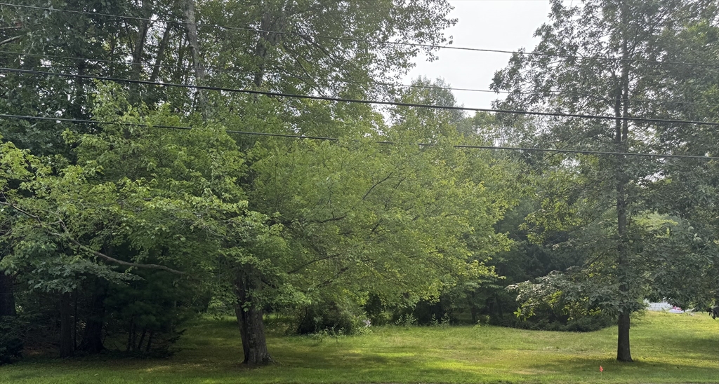 0 Main Street Gilbertville, MA 01031 - Photo 12 of 12 a view of outdoor space with green field and trees