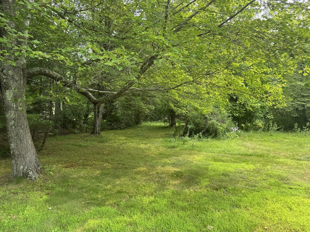 0 Main Street Gilbertville, MA 01031 - Photo 2 of 12 a fire hydrant in the middle of a field