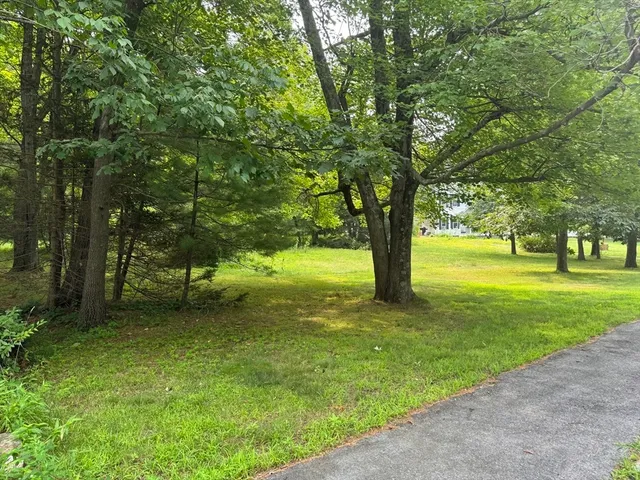 a view of a trees with a yard