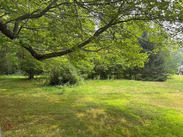 a view of outdoor space with deck and yard