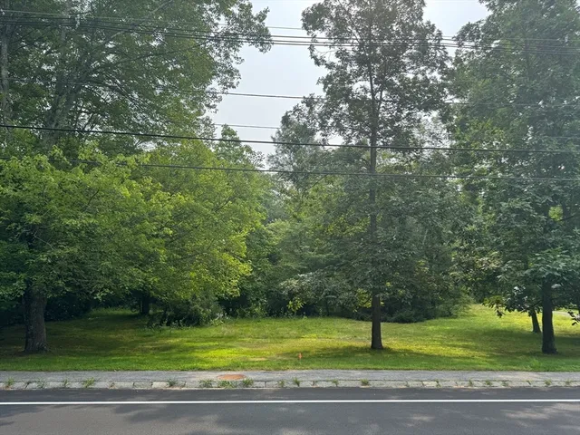 a view of a yard in front of a house