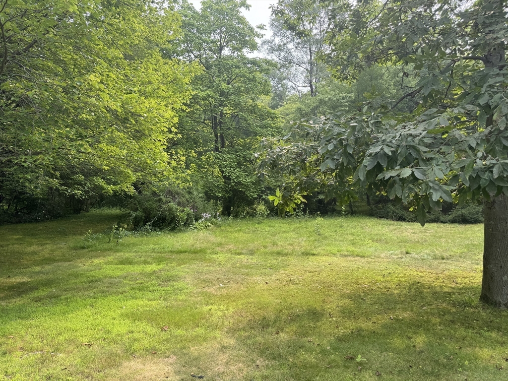0 Main Street Gilbertville, MA 01031 - Photo 6 of 12 a view of a trees in a yard