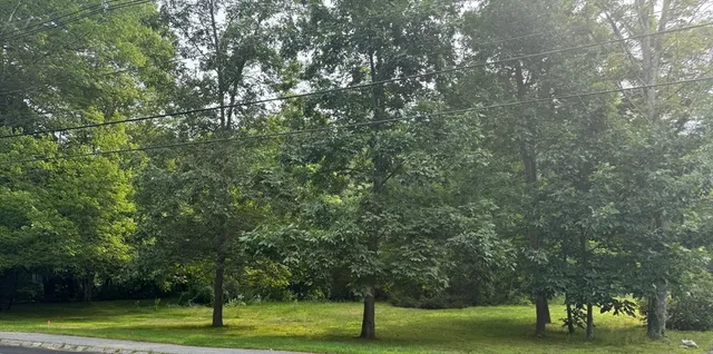 a view of a park with large trees