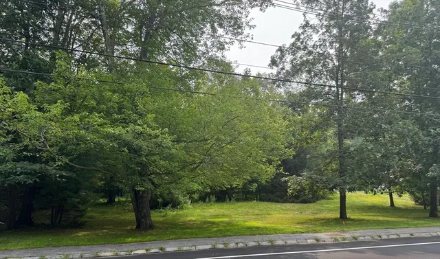 a view of a yard with a fountain