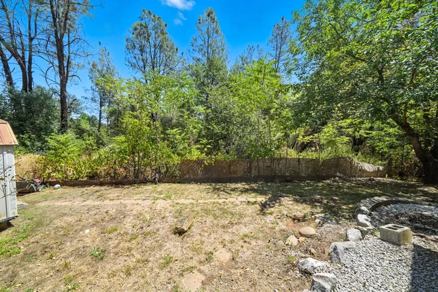 a view of a yard with trees