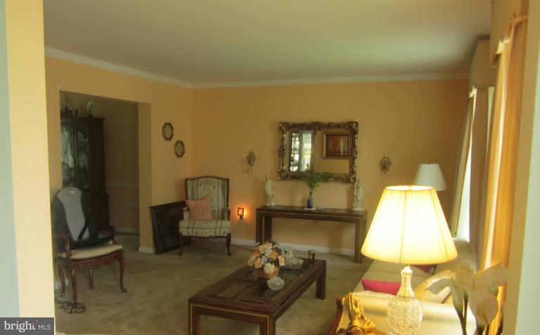 1925 Autumn Ridge Circle Silver Spring, MD 20906 - Photo 19 of 21 Living Room
