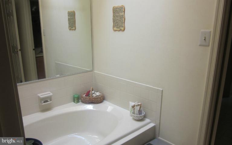 1925 Autumn Ridge Circle Silver Spring, MD 20906 - Photo 5 of 21 Bath (Master)