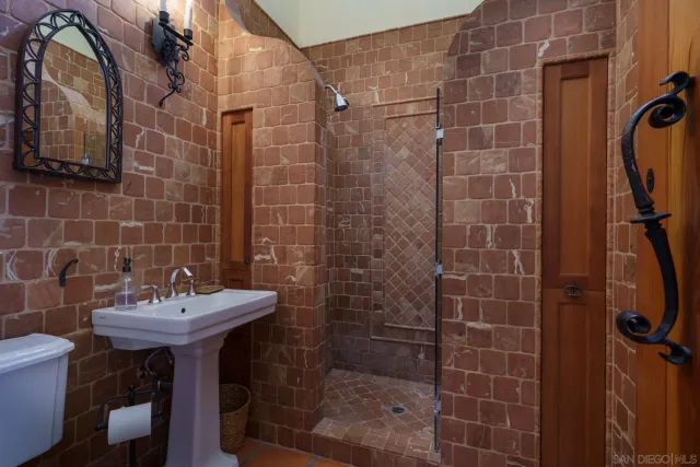 a bathroom with a sink a mirror and a shower