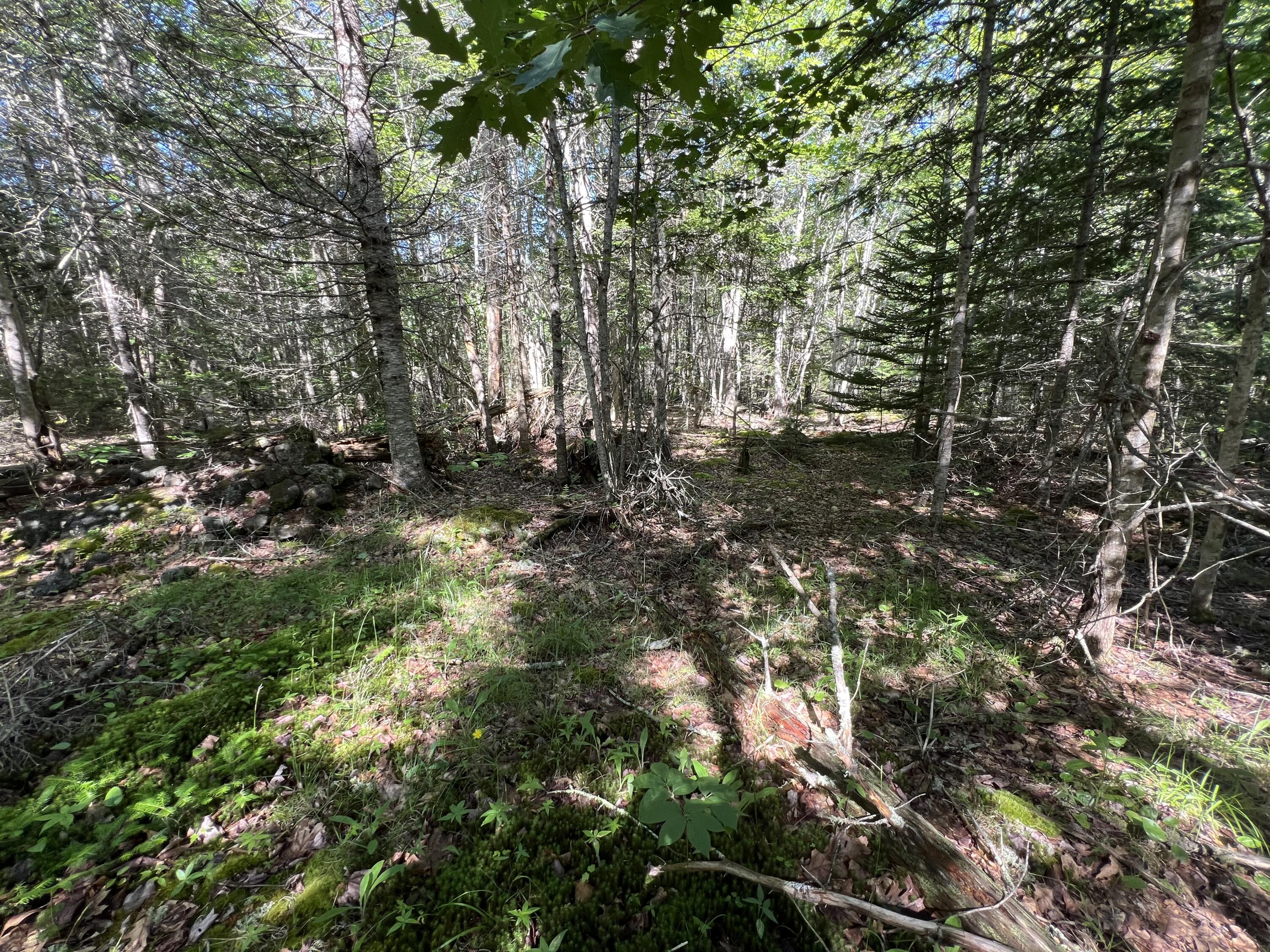 M34-l40 Hinckley Ridge Road Blue Hill, ME 04614 - Photo 5 of 8 IMG_7479