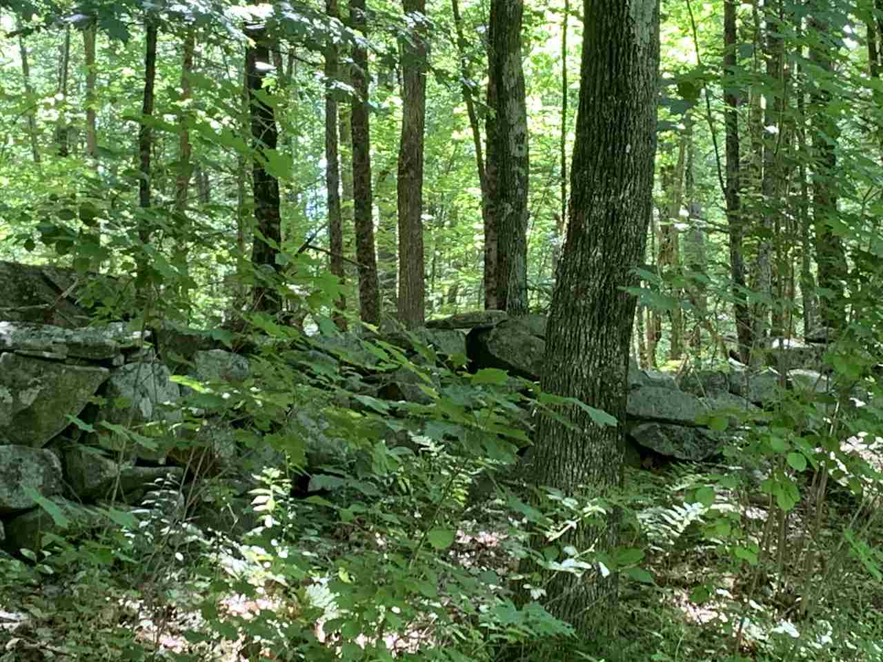 44 Daniel Cater Road Barrington, NH 03825 - Photo 3 of 5 Gallery Image 3