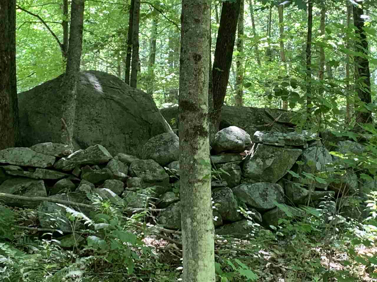 44 Daniel Cater Road Barrington, NH 03825 - Photo 4 of 5 Gallery Image 4