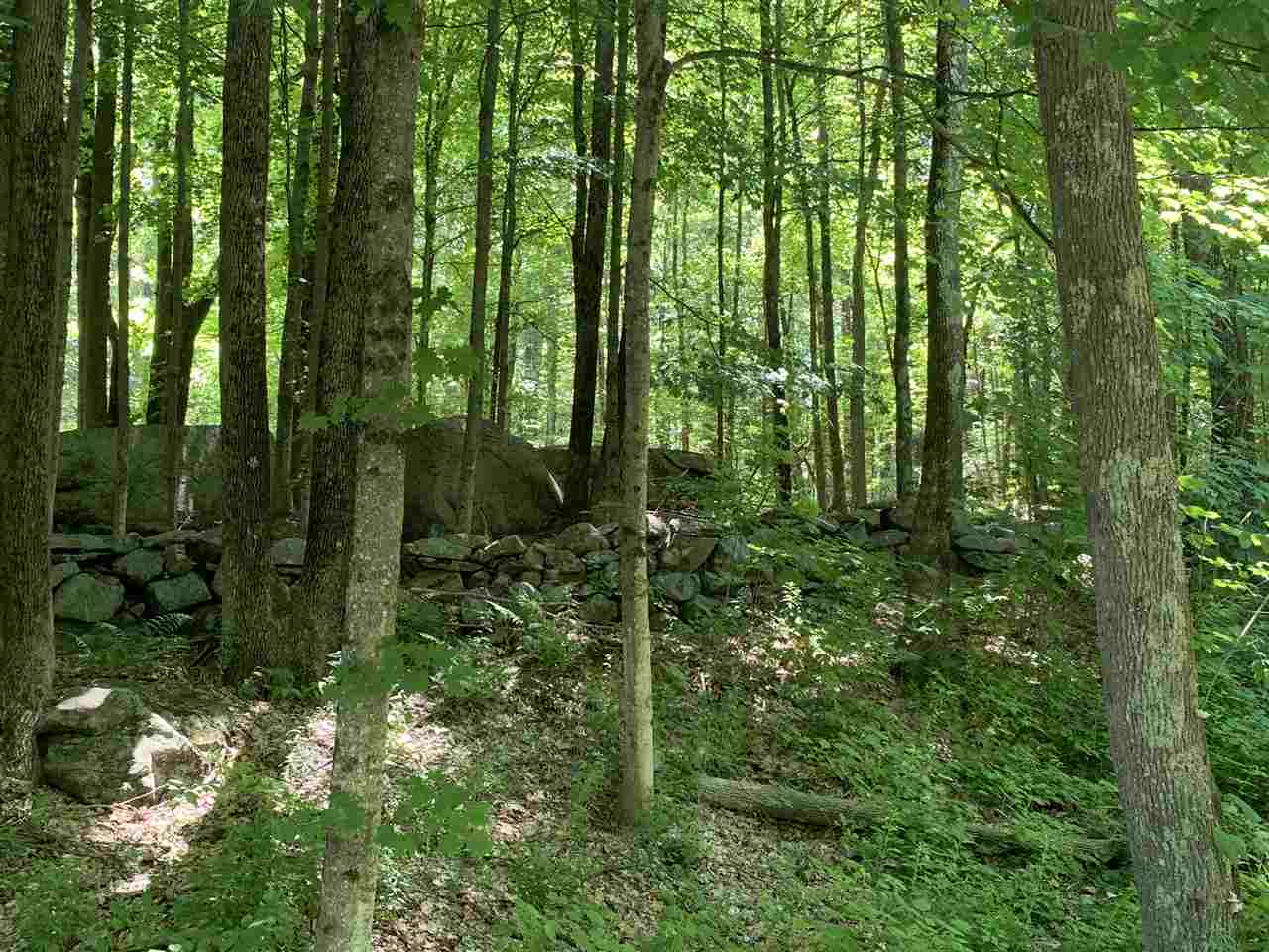 44 Daniel Cater Road Barrington, NH 03825 - Photo 5 of 5 Gallery Image 5