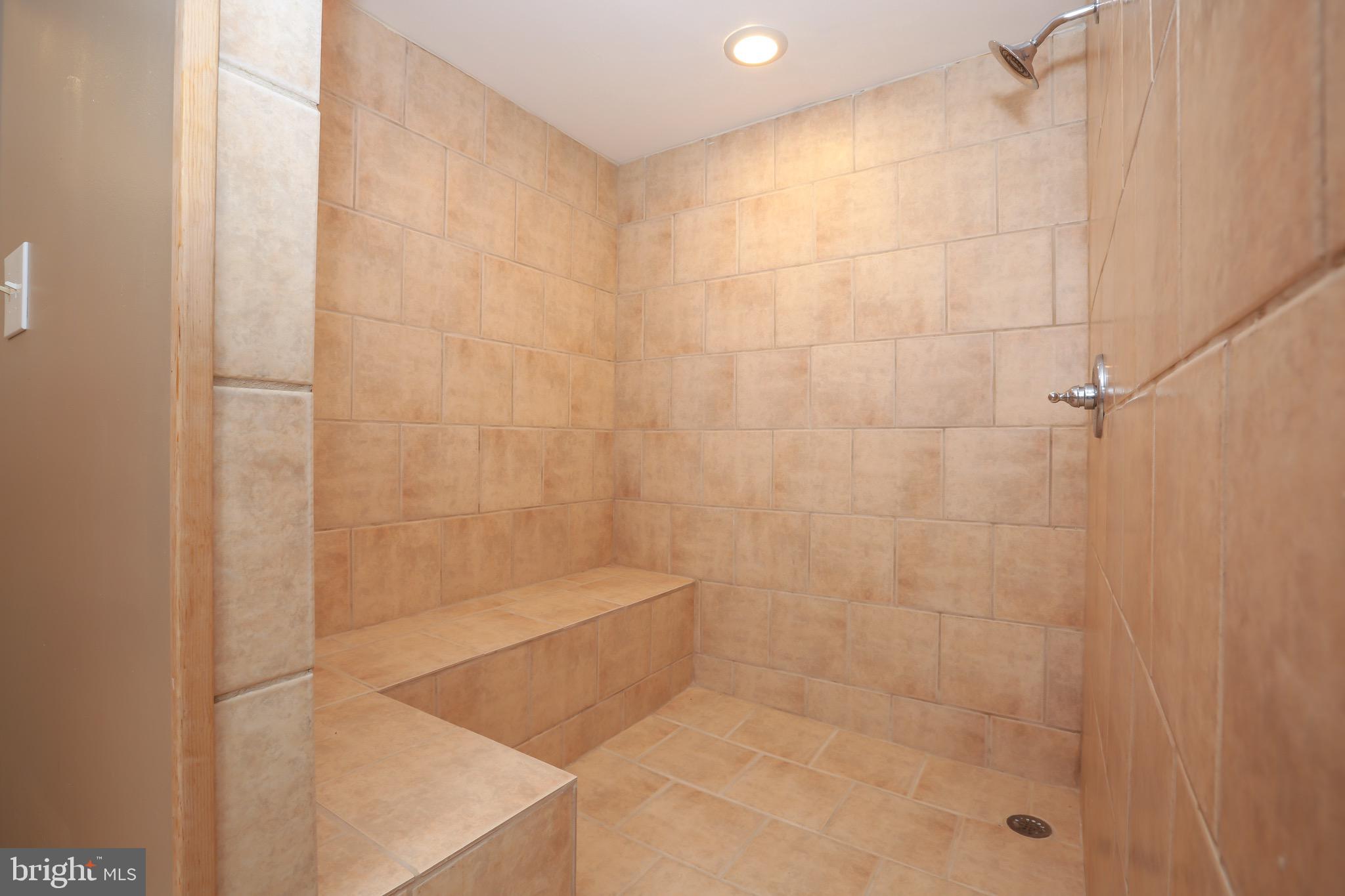 16013 Roland Park Place Gainesville, VA 20155 - Photo 26 of 31 Basement Bathroom with Walk-In Shower