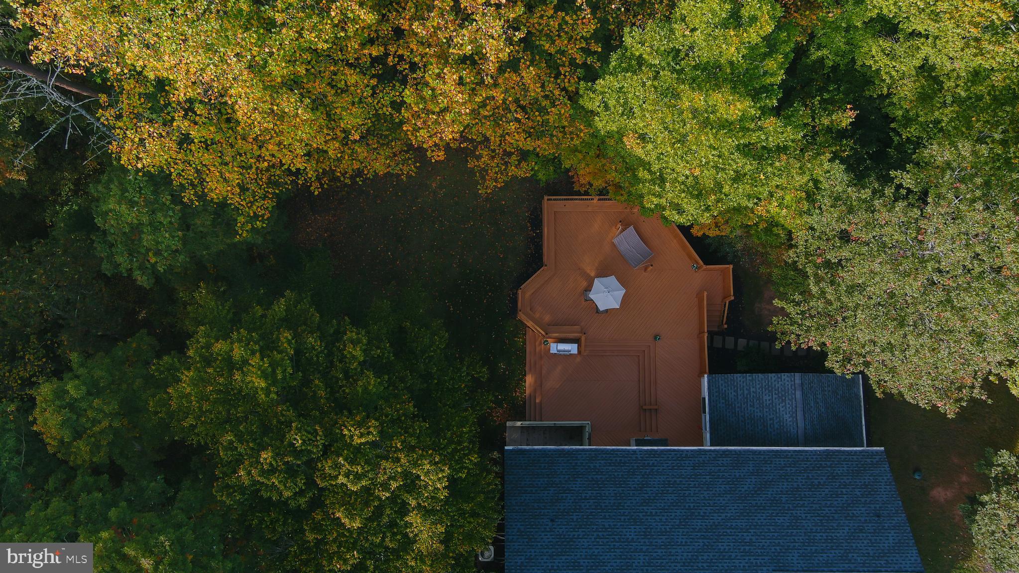 16013 Roland Park Place Gainesville, VA 20155 - Photo 28 of 31 Private Back Yard with Trees/Woods