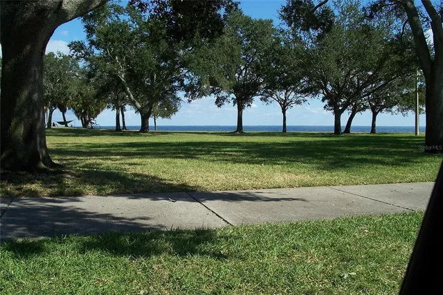 a view of a garden with trees