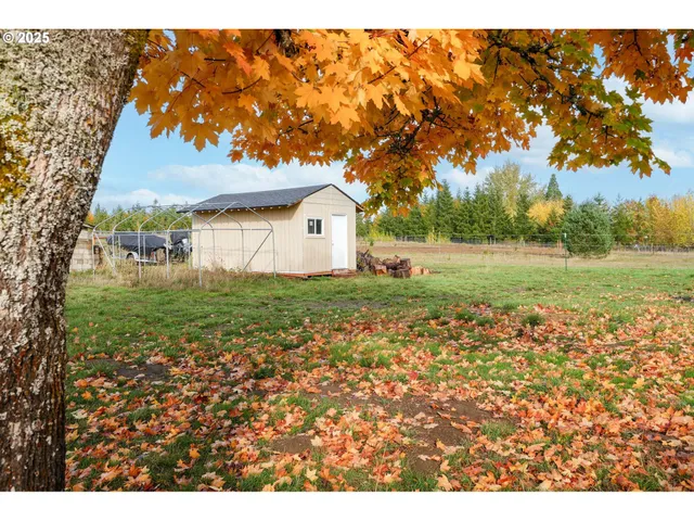 a view of a yard with an tree and a tree
