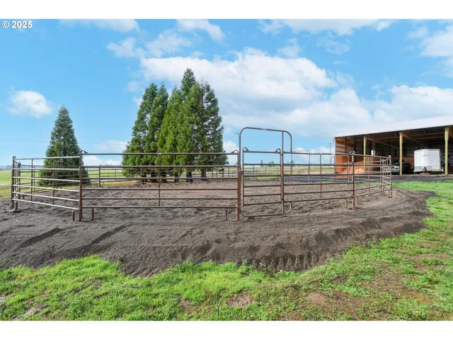 a view of a backyard with plants