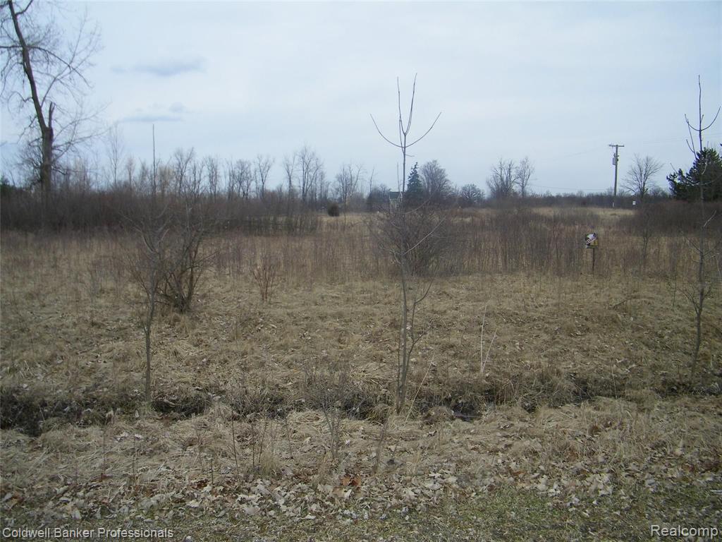 11 Turtle Lake Road North Branch, MI 48461 - Photo 7 of 7