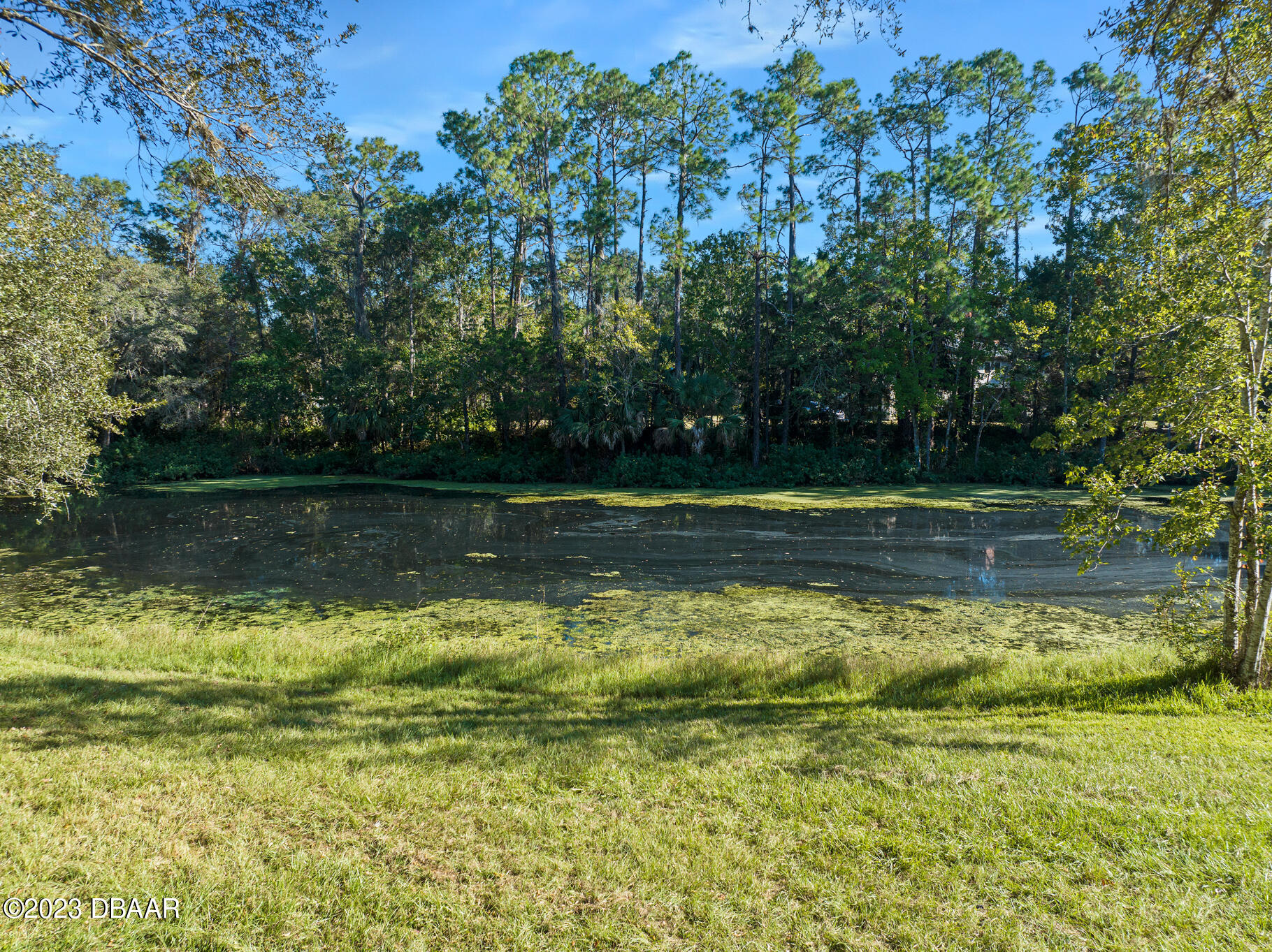 155 Lynwood Lane Ormond Beach, FL 32174 - Photo 17 of 65 Lake Front