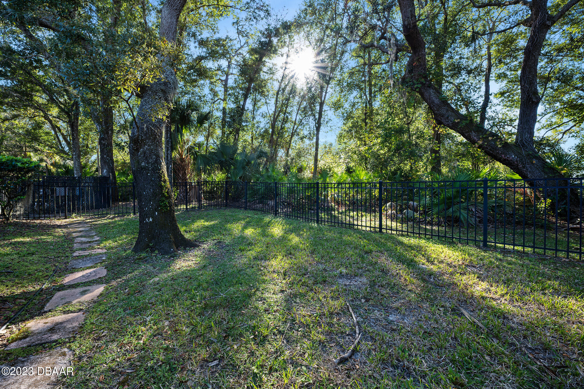 155 Lynwood Lane Ormond Beach, FL 32174 - Photo 63 of 65 Dog Run